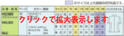 ̎̃TCYEobNX^Cʐ^
